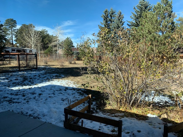 The backyard of a family home in October.