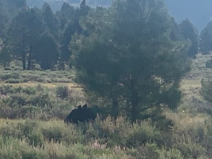Camas Valley in the haze of probably California smoke, 30 June 2021. 