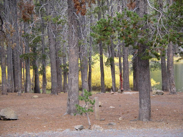 Campbell Lake, 2006 before the 2021 Bootleg Fire. Taken on my solo hike in the Fremont Winema National Forest, Oregon.