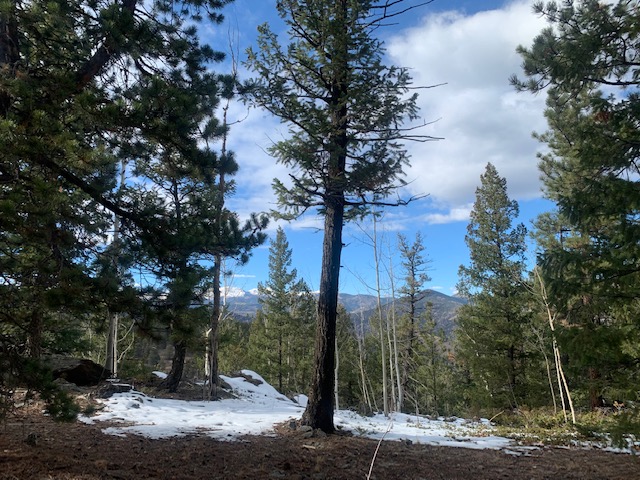 Continental Divide viewed from a friend’s house.