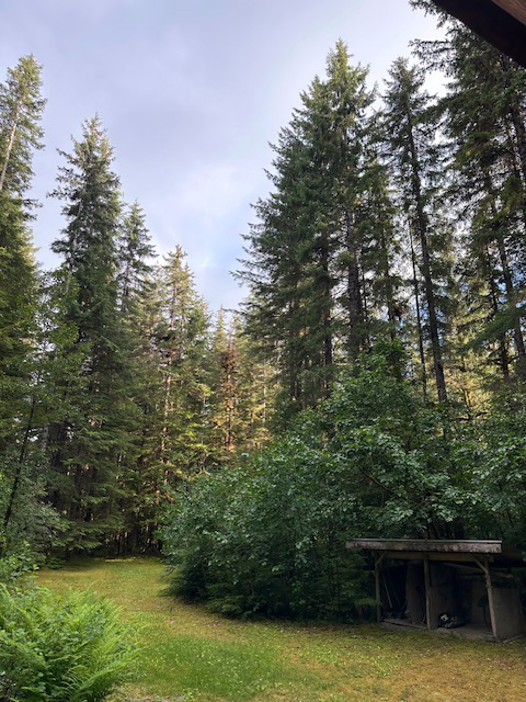 The front yard of my home.