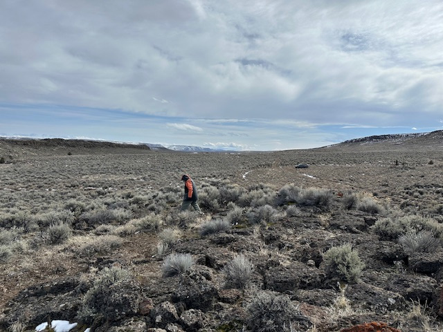 Robert walking a field in Guano Valley in March. This is where Grandfather Barry ranched.