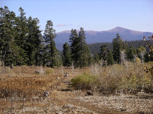 Part of my 2006 hiking trail