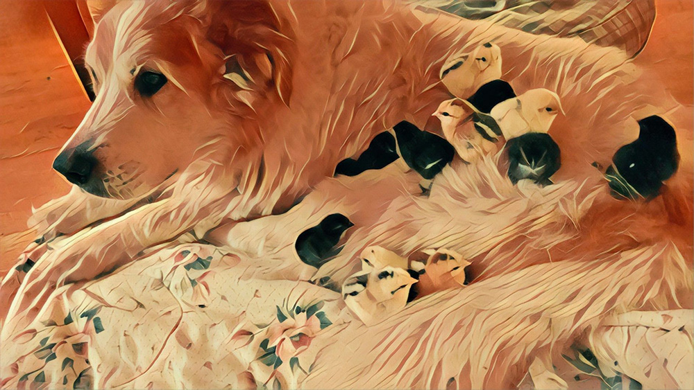 The younger Max The younger Max