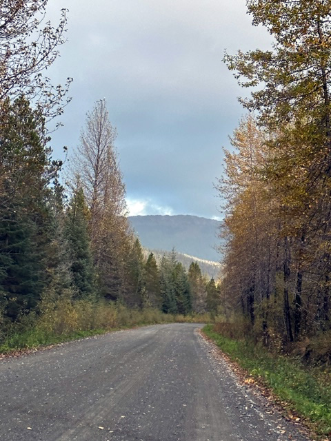 A month ago as we walked towards home.