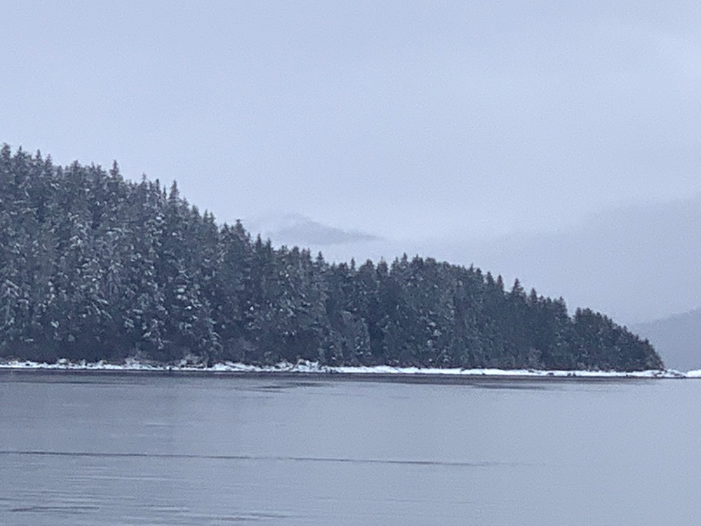 On the water 15 March 2022, 2:00 pm. In a normal winter